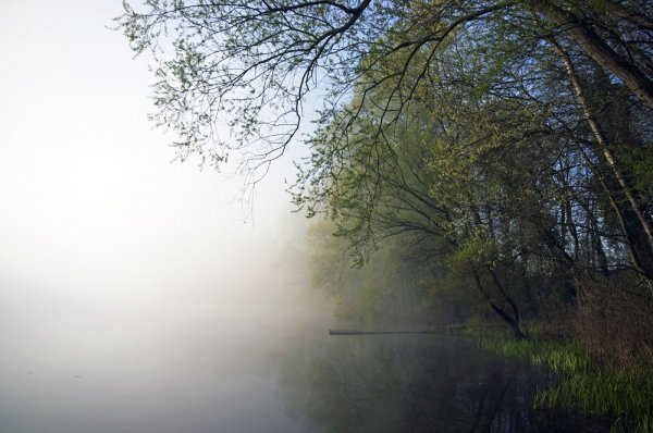 Drava – Križnica